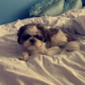 Meet your Posher, Eliana